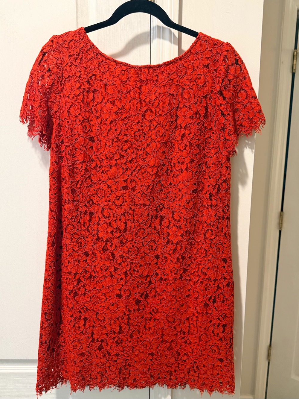 Zara Floral Burnt Orange/Red Lace Shift Dress -